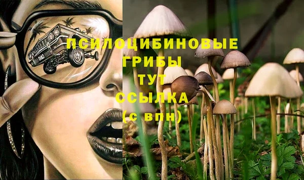 прущая мука Алзамай