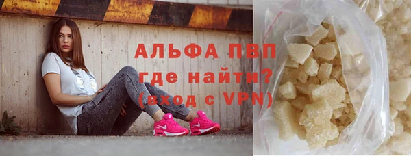 стаф Алексин