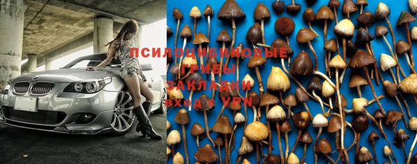 прущая мука Алзамай