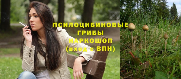 таблы Алексеевка
