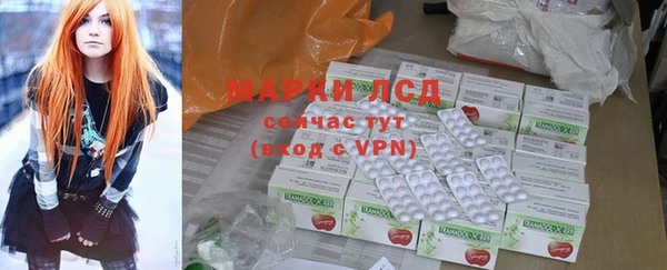 стаф Алексин
