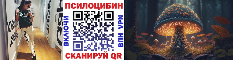 Псилоцибиновые грибы MAGIC MUSHROOMS  Казань 