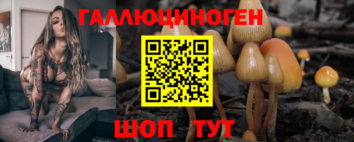 Псилоцибиновые грибы GOLDEN TEACHER  Вход с VPN  Казань  Галлюциногенные грибы Magic Shrooms 